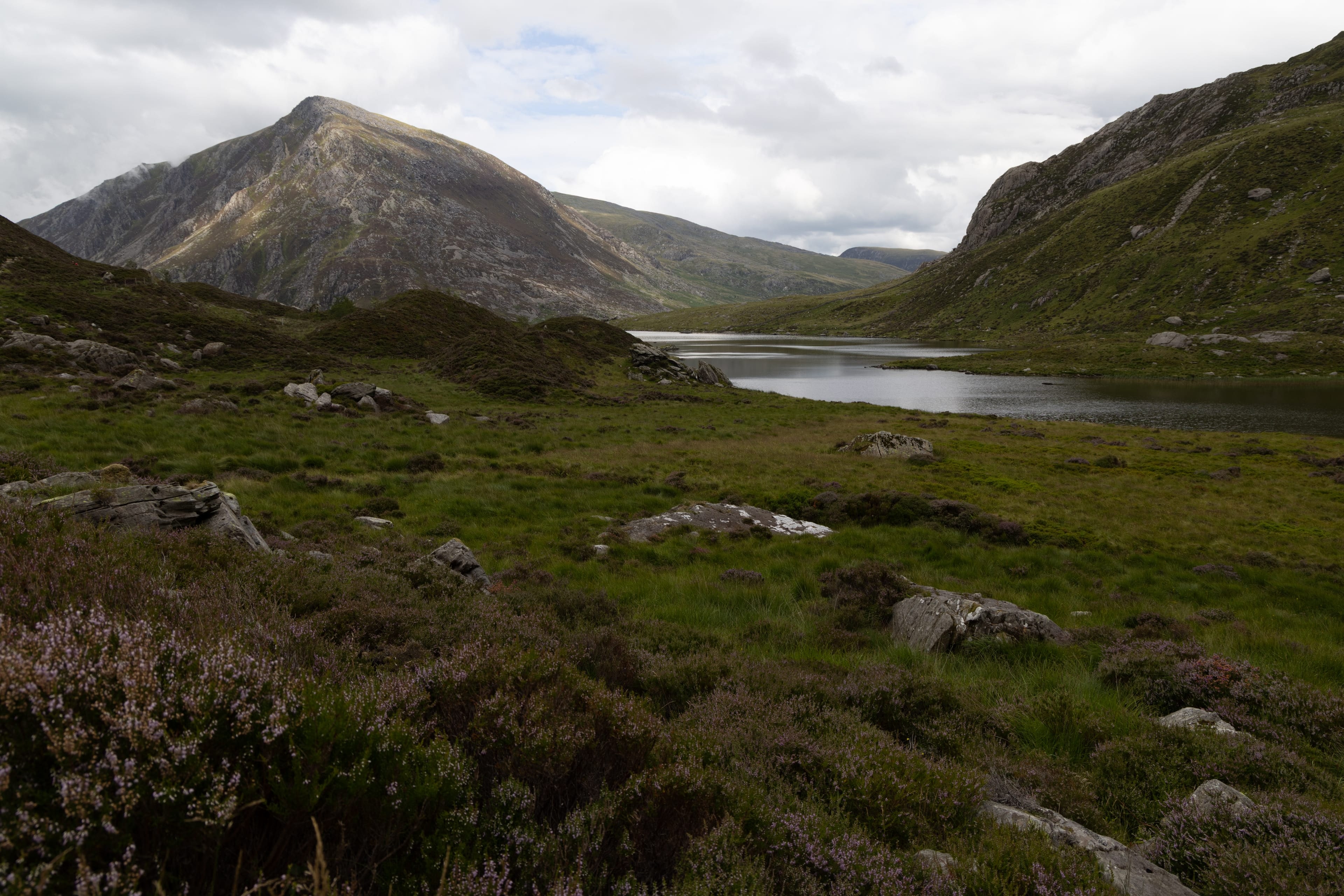 Lande de bruyère au premier plan, un lac sombre et une montagne herbeuse en arrière-plan