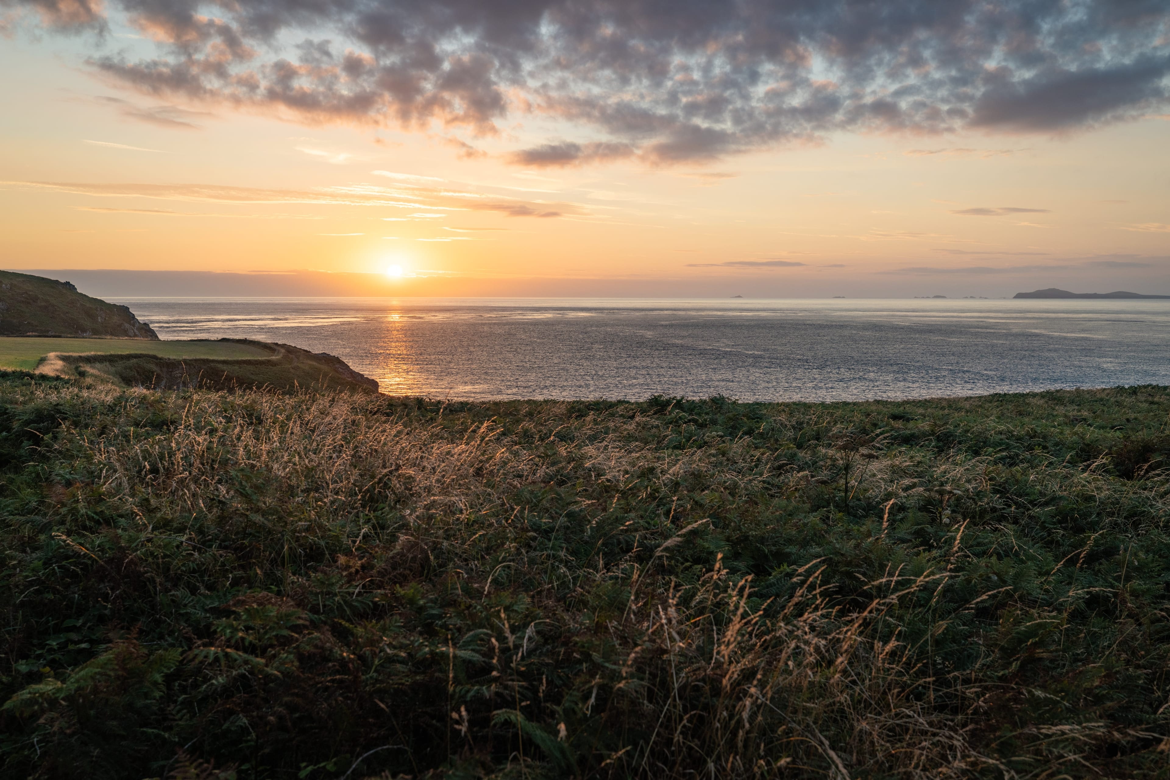 Soleil bas sur l’océan vu depuis un coteau de fougères, des îles à l’horizon